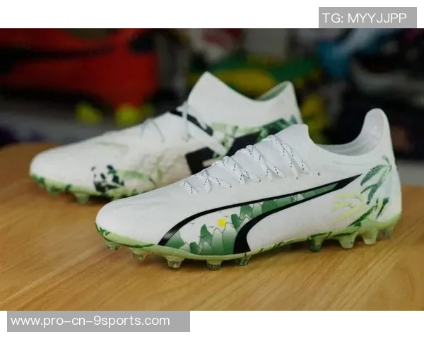 成都足球鞋购买指南推荐热门商店和品牌选择